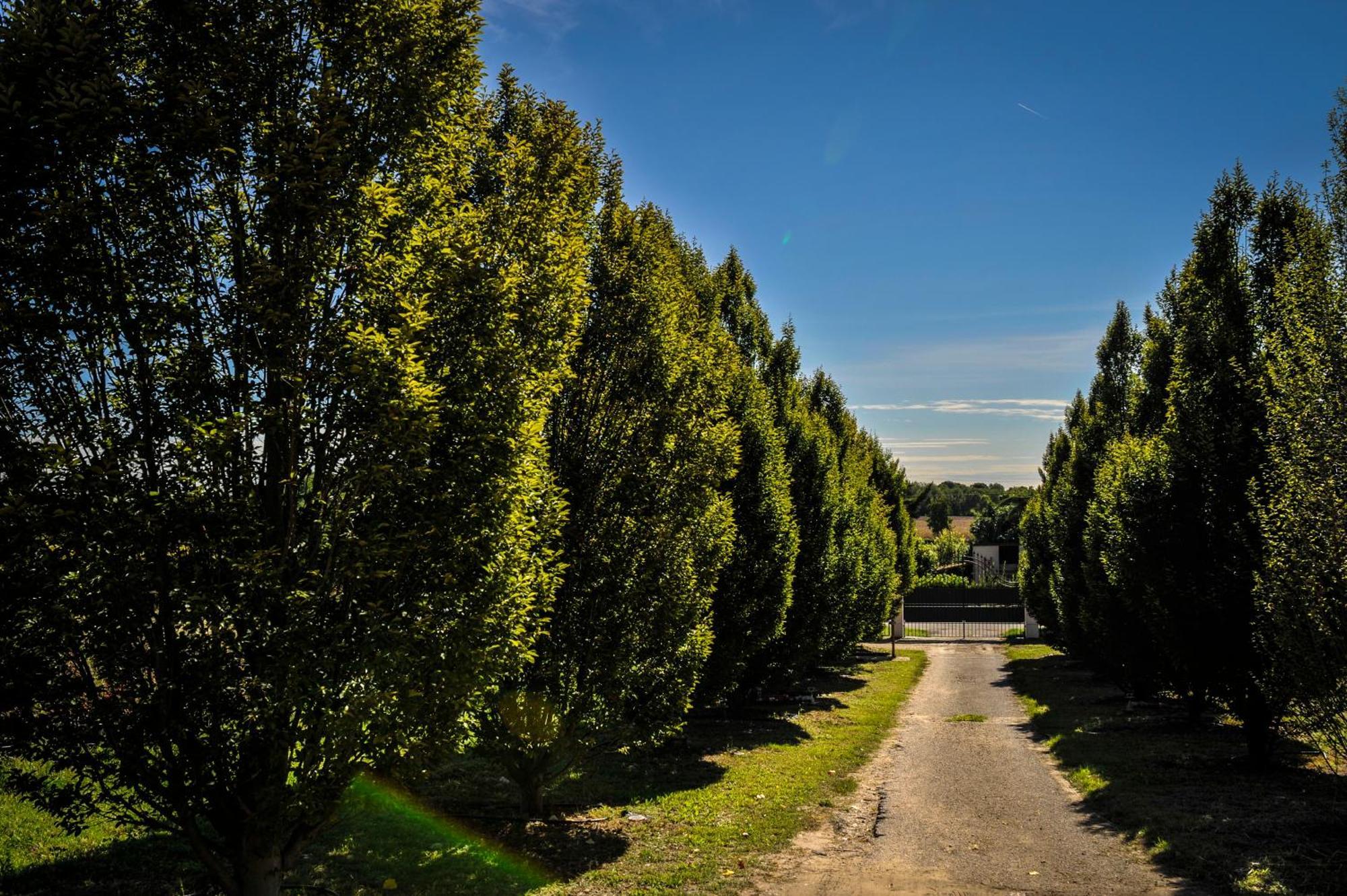 Agriturismo Olistico Atman Villa Monzambano Exterior photo