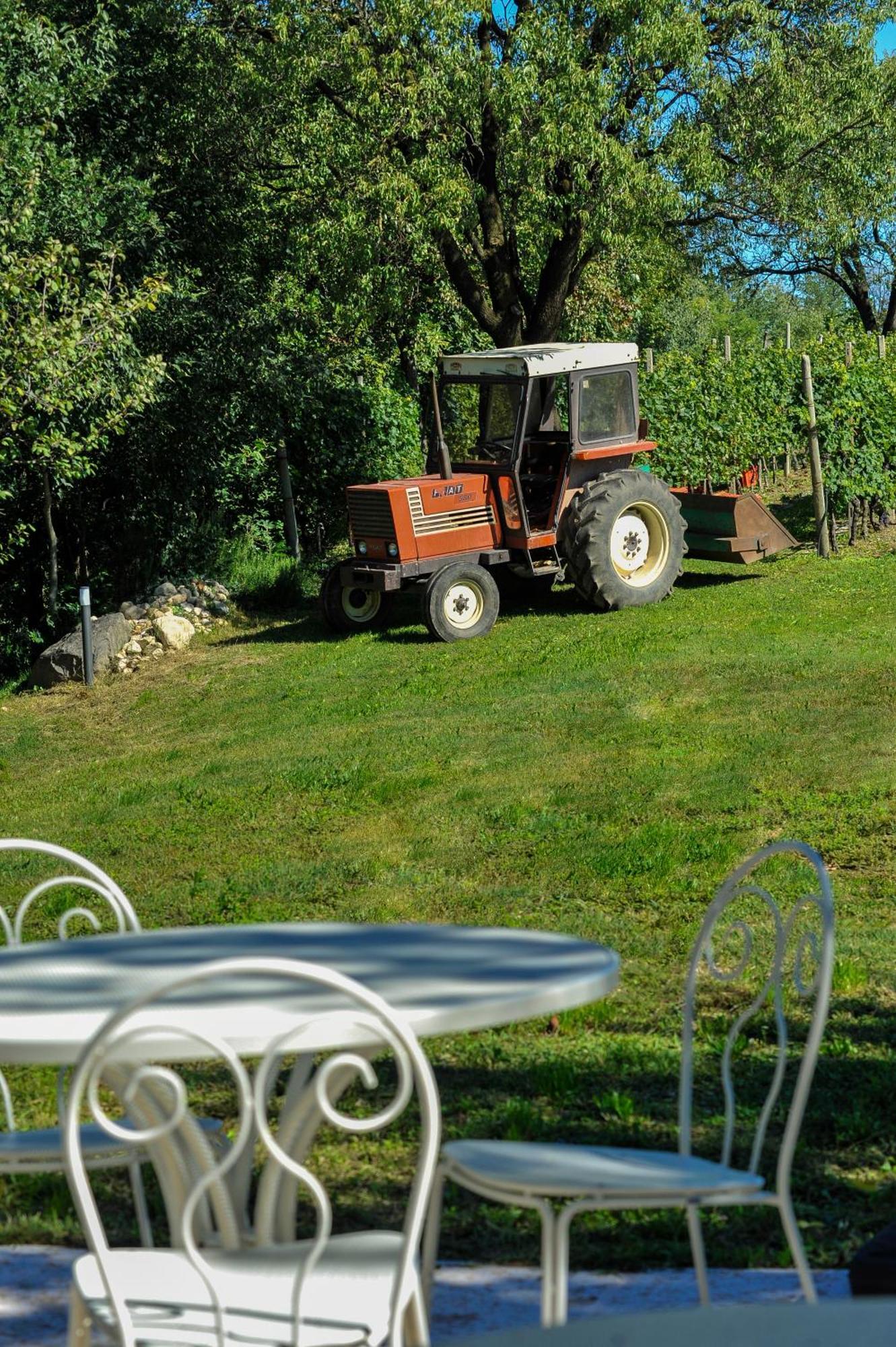 Agriturismo Olistico Atman Villa Monzambano Exterior photo