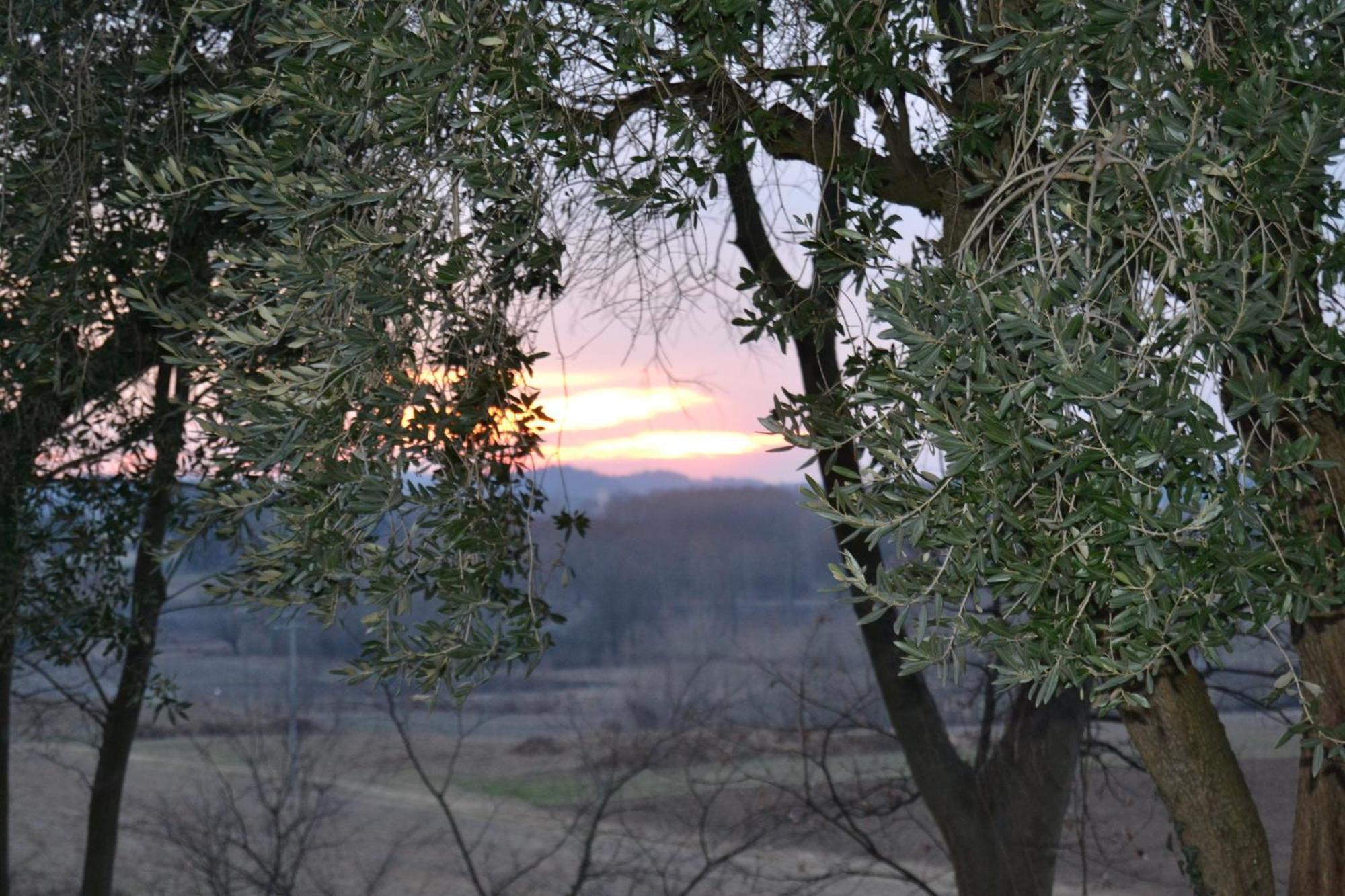 Agriturismo Olistico Atman Villa Monzambano Exterior photo