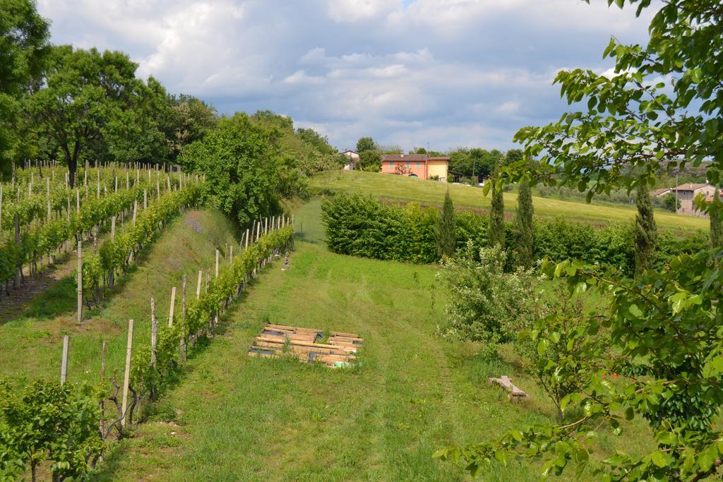 Agriturismo Olistico Atman Villa Monzambano Exterior photo